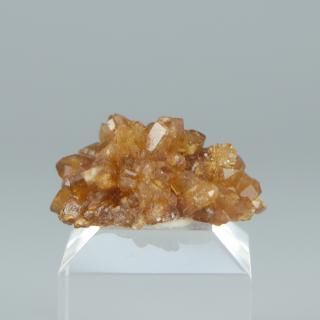 <img class='new_mark_img1' src='https://img.shop-pro.jp/img/new/icons15.gif' style='border:none;display:inline;margin:0px;padding:0px;width:auto;' />ڰʪۥȥСååʥդ