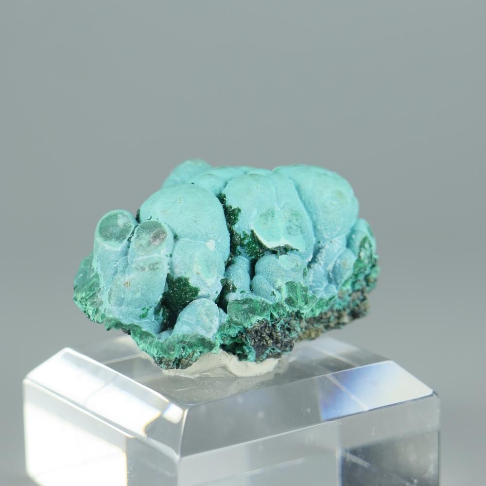 【一点物】クリソコラ・マラカイ