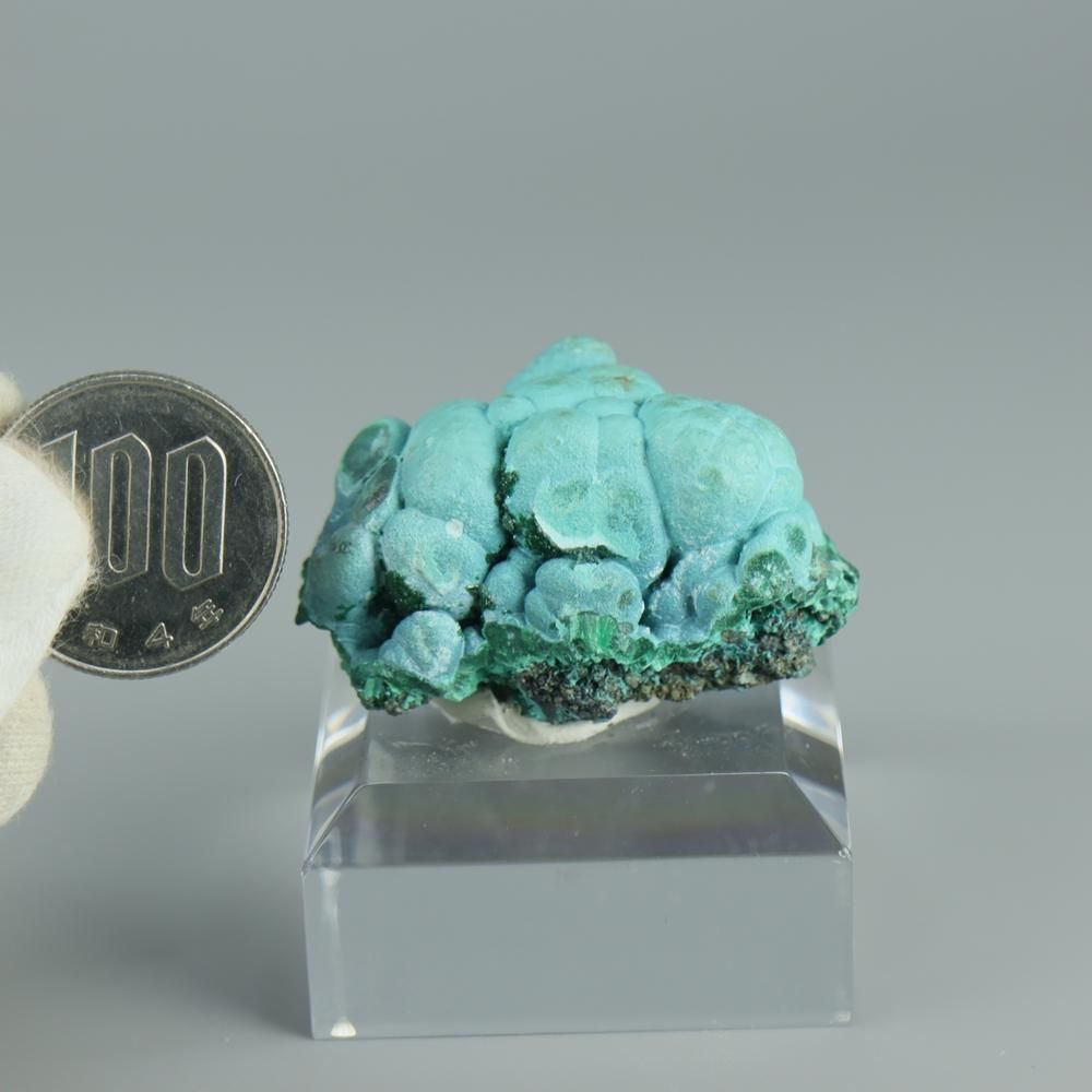 【一点物】クリソコラ・マラカイ