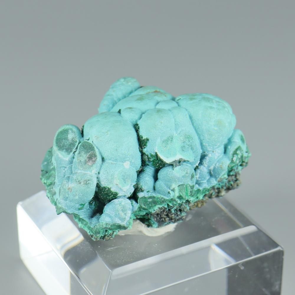 【一点物】クリソコラ・マラカイ