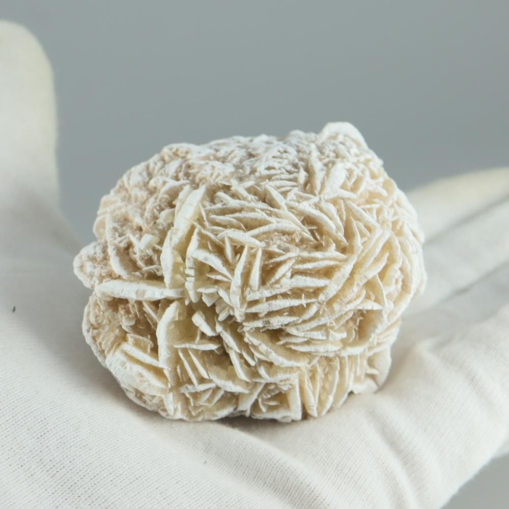 �ڰ���ʪ�ۥǥ����ȥ��������С�