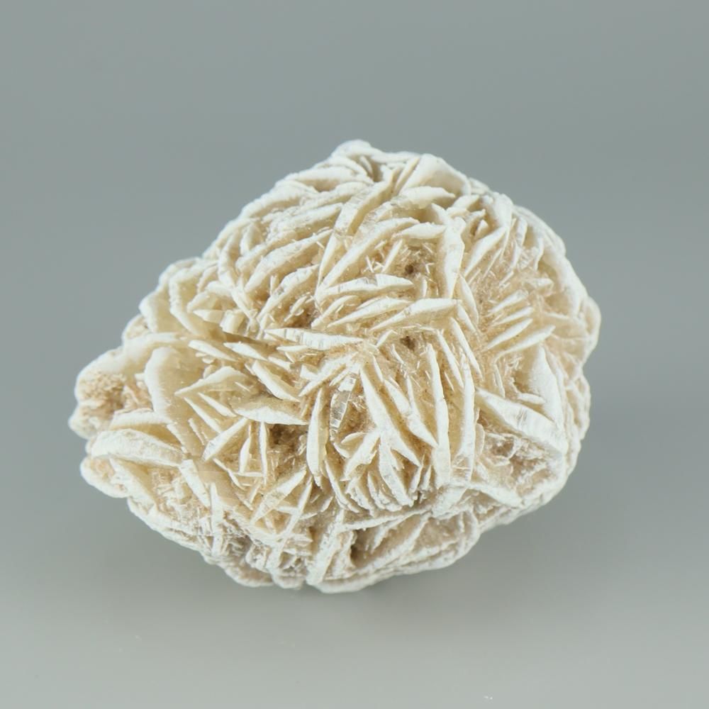 �ڰ���ʪ�ۥǥ����ȥ��������С�