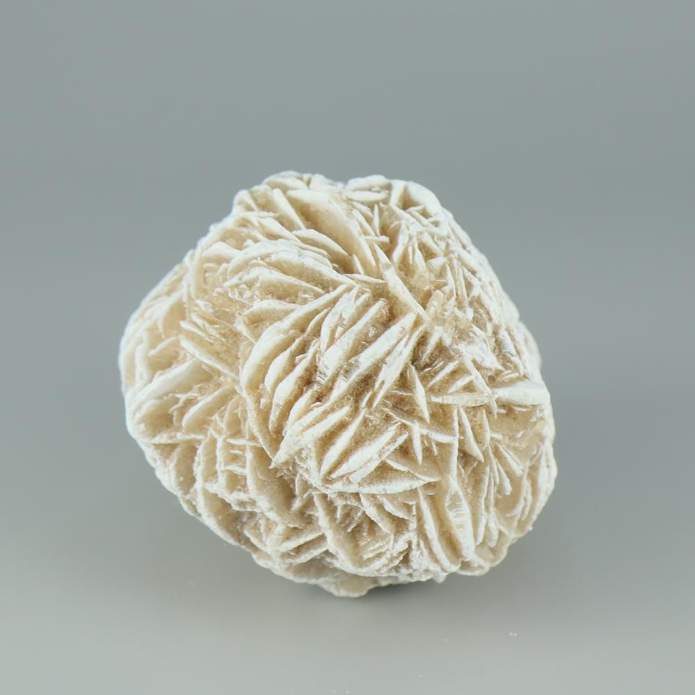 �ڰ���ʪ�ۥǥ����ȥ��������С�