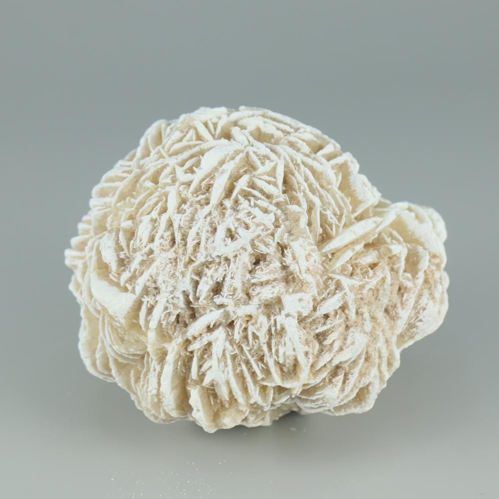 �ڰ���ʪ�ۥǥ����ȥ��������С�