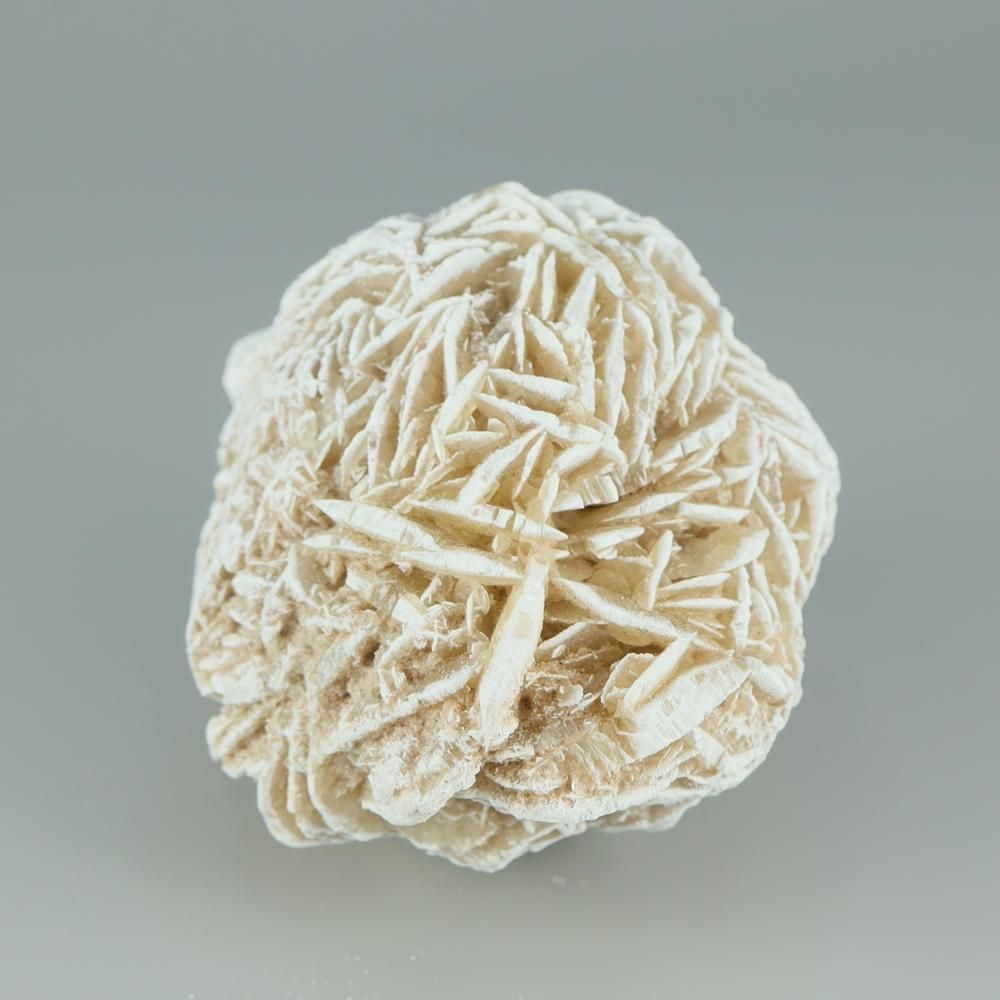 �ڰ���ʪ�ۥǥ����ȥ��������С�