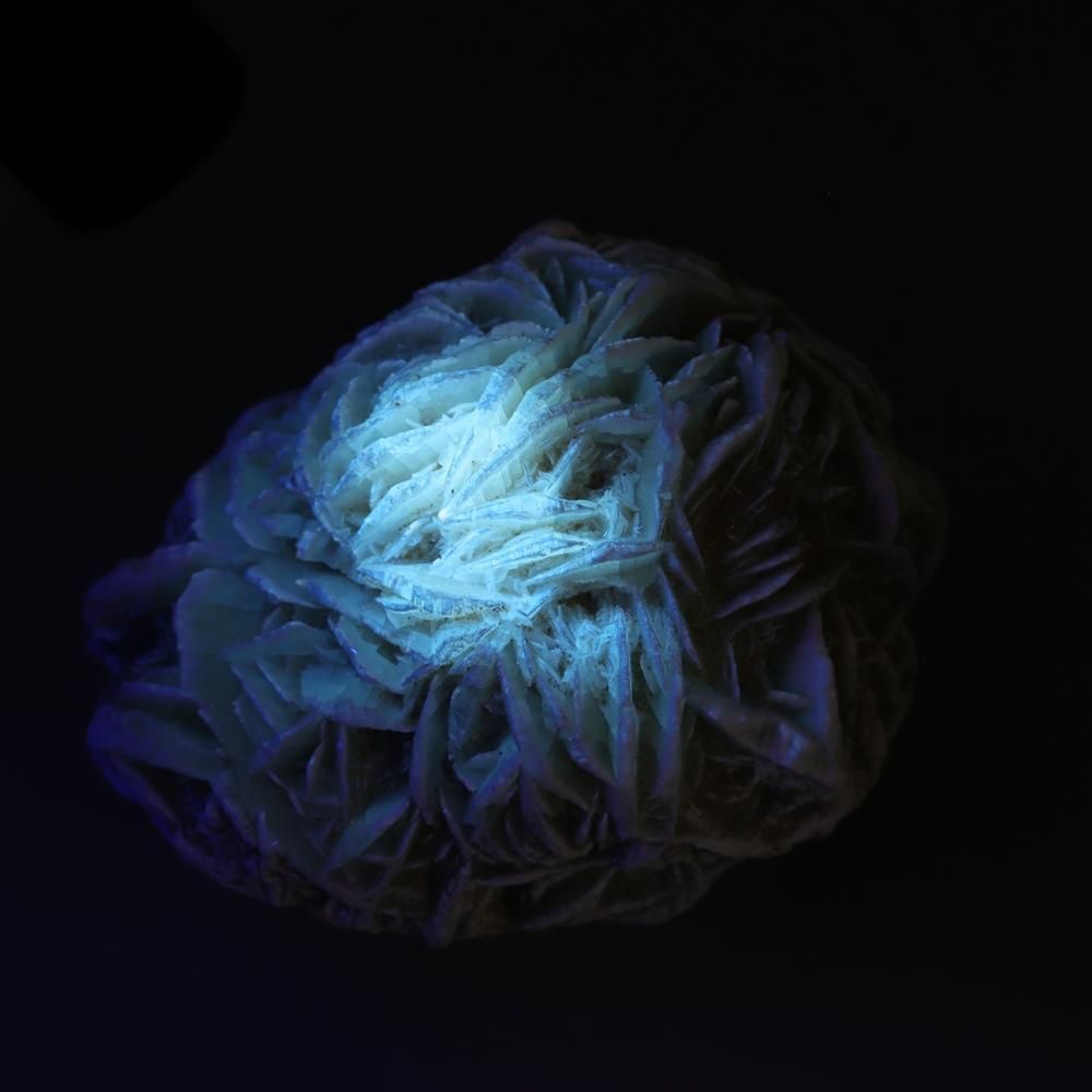 �ڰ���ʪ�ۥǥ����ȥ��������С�