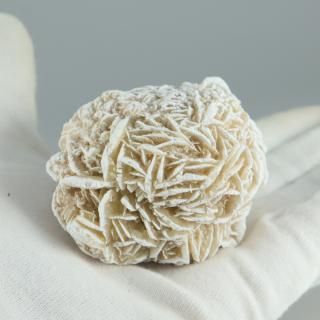 �ڰ���ʪ�ۥǥ����ȥ��������Сåᥭ������<img class='new_mark_img2' src='https://img.shop-pro.jp/img/new/icons15.gif' style='border:none;display:inline;margin:0px;padding:0px;width:auto;' />