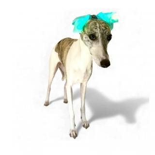 <img class='new_mark_img1' src='https://img.shop-pro.jp/img/new/icons14.gif' style='border:none;display:inline;margin:0px;padding:0px;width:auto;' />ߥʥ꡼(2025AWС)