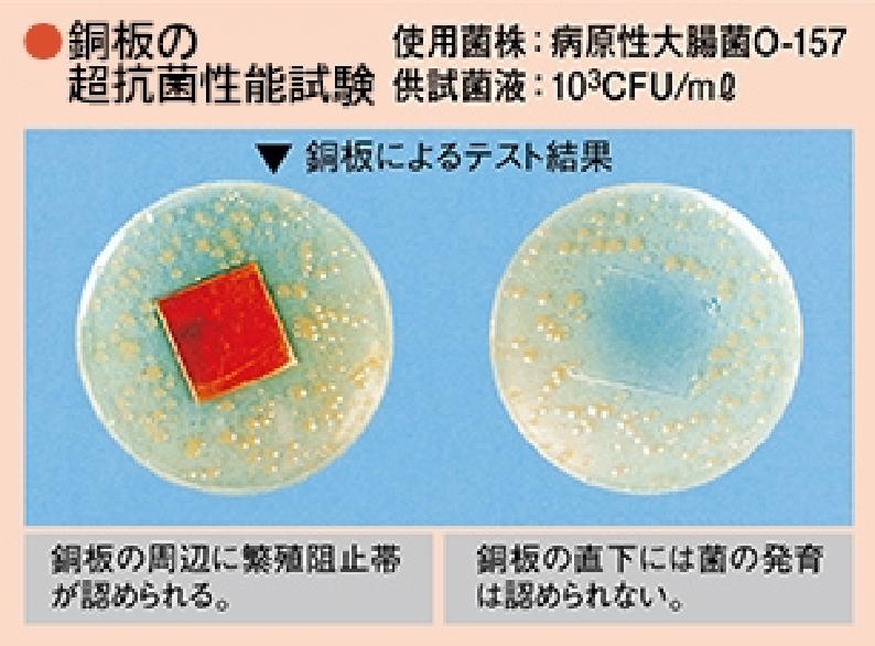 銅板の超抗菌性性能試験