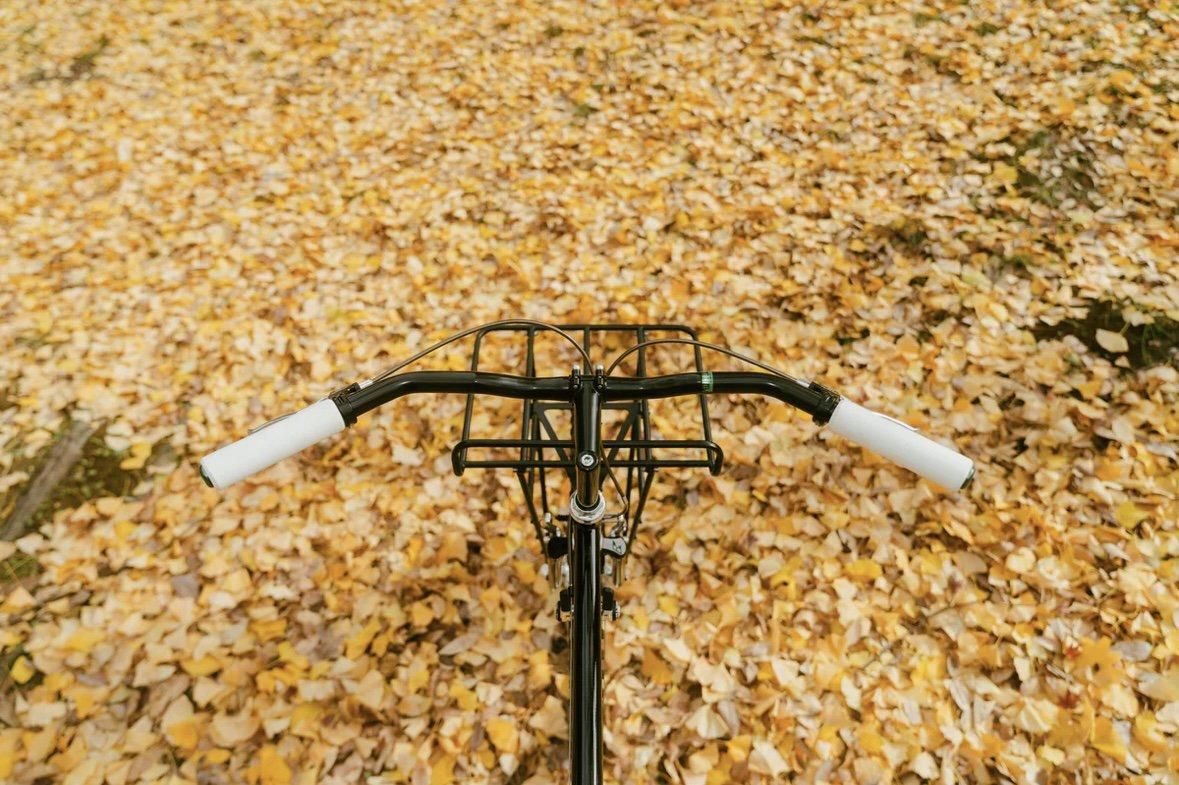 NITTO × SIMWORKS Fun 3 CrMo Bar ブラック - GINO ONLINE STORE