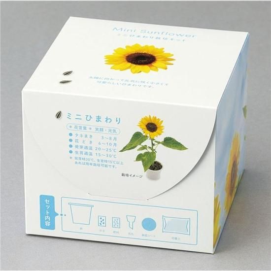 ミニひまわり栽培キット - ノベルティ・販促品の専門店 販促