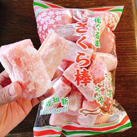 ※さくらこさん専用 さくらドーム ZitA SQUARE ブラック ZITASQ12 の通販 - カテゴリ