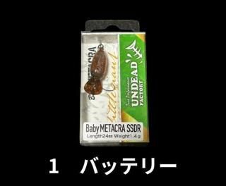 ǥåɥեȥ꡼٥ӡ᥿顡24SSDR