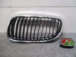 Beauty products! BMW M3 Coupe E92N/E93N Left Front Grill/Radiator Gril 7 254 967 (95566)