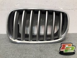 X5 Series/E70 Genuine Left Front Grill/Radiator Grill 51 13-7 171 395 51137185223 Plating (121399)