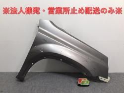 New! DAYS B21W Genuine Early Front Grill/Radiator Grill 7450A838/855 62300-6A04E Nissan (128938)