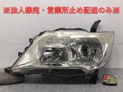 Fuga/Cima/Y51/KNY51/KY51/HY51/HGY51 Genuine Left Front Door with Visor Color No. CAN Nissan (119578)