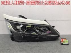 Cima F50/GF50/GNF50/HF50 Genuine Early Front Bumper with Grill 62022 AR042 Silver Metallic (138491)