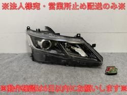 Teana L33 Genuine Front Bumper 62022 3NU0H Brilliant White Pearl Color No.QAB Nissan (117736)