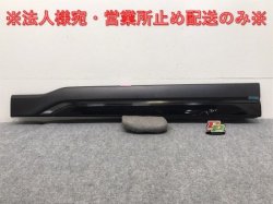 Forester/STI Sports SK5/SKE/SK9 Genuine Left Front Door Side Panel/Side Molding (131182)