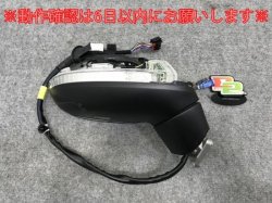 New! Passat/Arteon B8/3H genuine right door mirror 14/2 wire turn signal/camera included (134064)