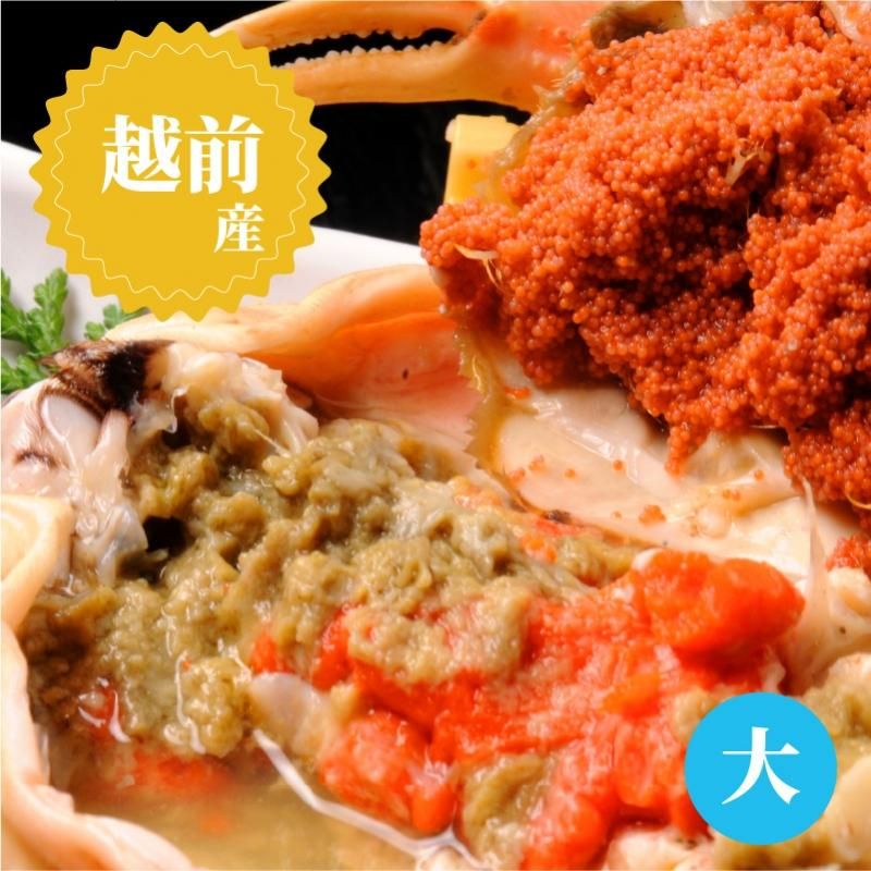ゆいセコガニ大 越前産セイコガニ 大 - 越前ガニ通販サイト えちぜん丸太屋