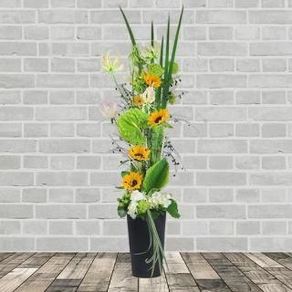 ޡȥ󥸥(5,000/7,000/10,000)