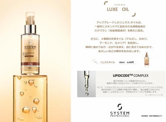 最安 システム リュクスオイル 100ml ３点 トリートメント - powertee.com