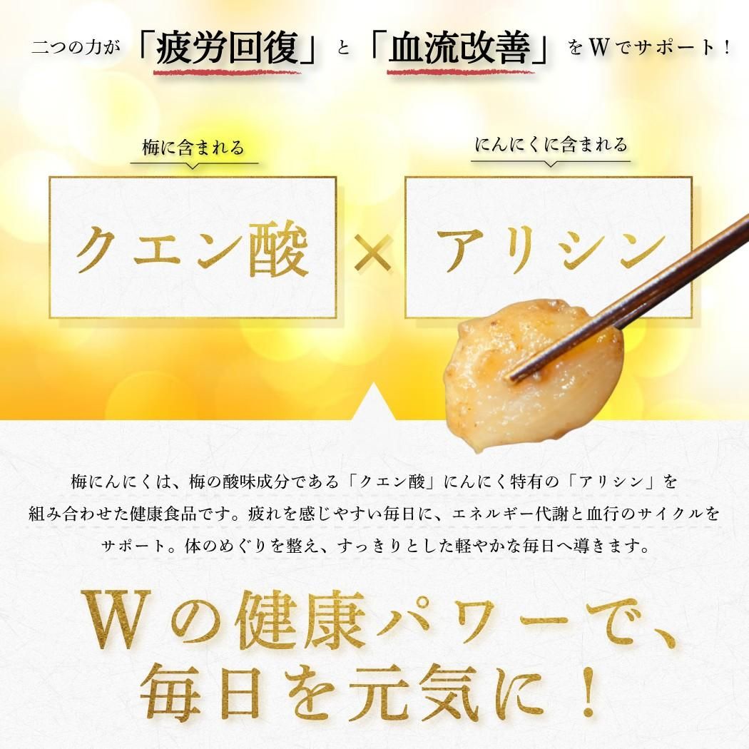 国産梅にんにく 80g×2 送料無料 食品添加物不使用 (ゆうメール便・他