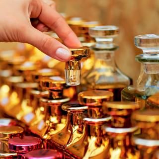 ١åCե쥰󥹤˿<br/>ֺ̹¡2025/12/16()13:30