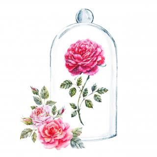 ١åAδСΥѥå<br/>ֺ̹¡2026/2/5()13:30