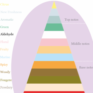 ١åBե쥰󥹤ιĴθ<br/>饤ֺ¡2026/1/15()19:15