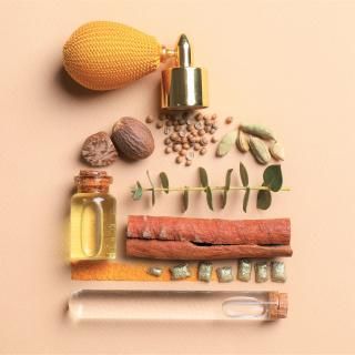 åNo.1 Vol.3եå (Ĵ) ؤ ԡ <br/>饤ֺ¡2026/4/15()19:15