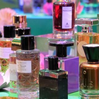 åNo.12οʤδ衦ȯ<br/>ֺ̹¡2026/11/12()10:00