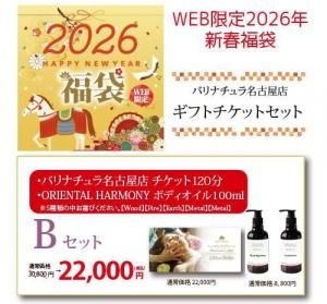 <img class='new_mark_img1' src='https://img.shop-pro.jp/img/new/icons15.gif' style='border:none;display:inline;margin:0px;padding:0px;width:auto;' />web����! ʡ�ޥ��եȥ����åȥ��å�(�Х�ʥ����̾�Ų�120ʬ�ˤξ��ʲ���