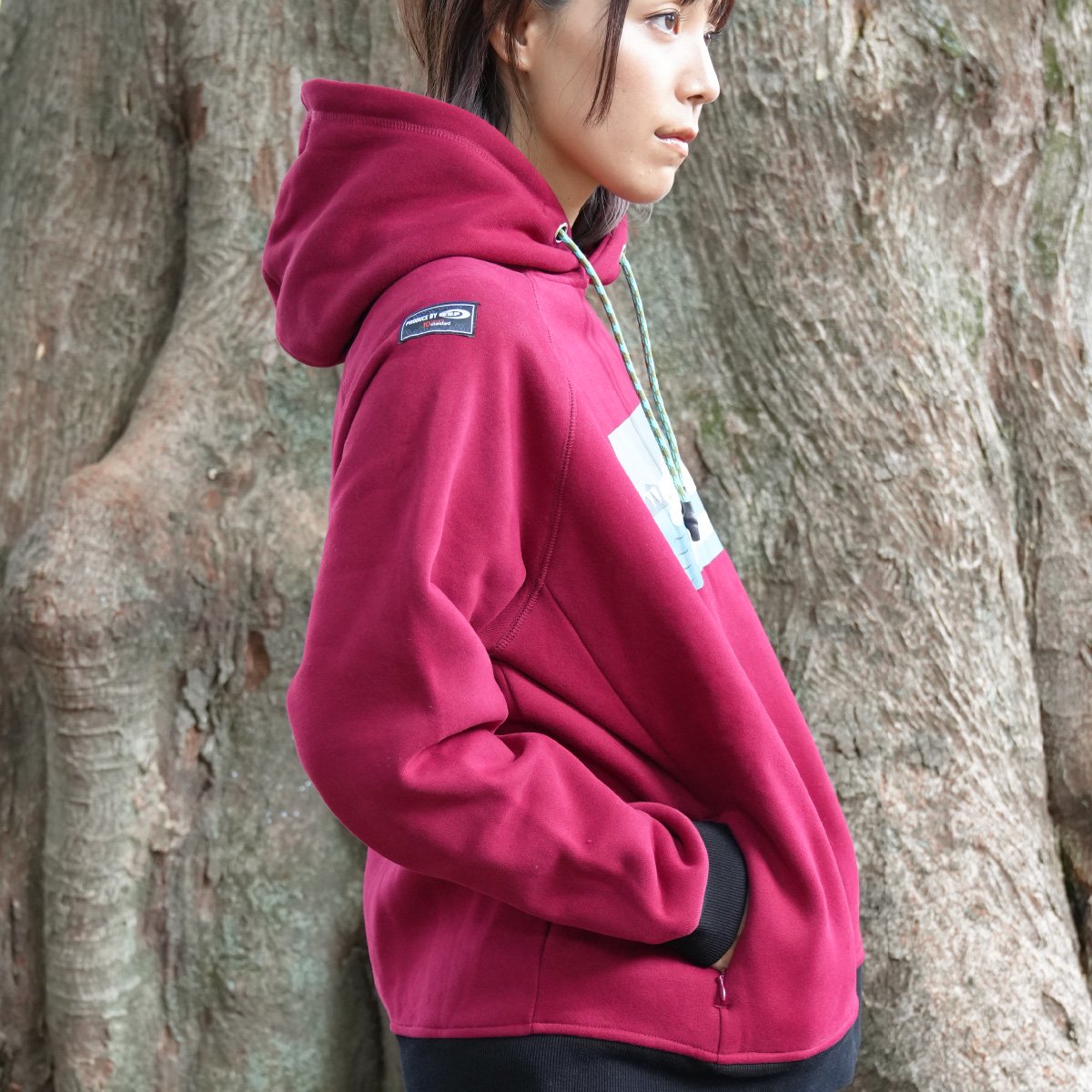 <img class='new_mark_img1' src='https://img.shop-pro.jp/img/new/icons20.gif' style='border:none;display:inline;margin:0px;padding:0px;width:auto;' />3A Pullover hoodie