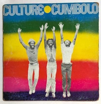 レゲエレコード300枚＋α レゲエレコード300枚➕αまとめ売り 商品カタログ - レゲエレコードコム