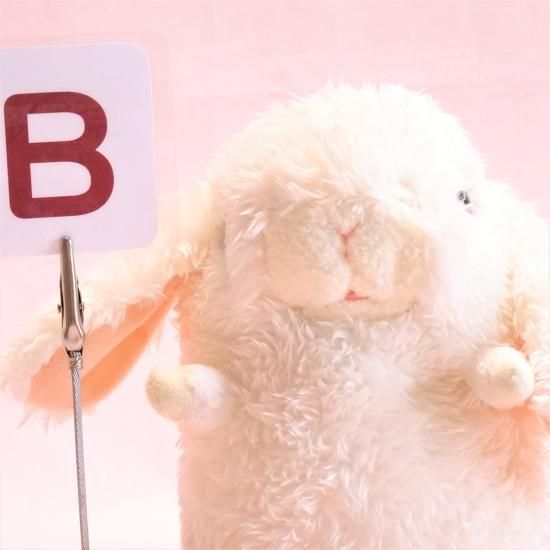 シナダ】 baby nature ロップイヤー Sサイズ 【うさぎ