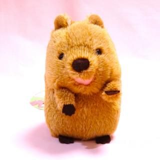 ƣǥ󸦵 Φ ݤޤ S å