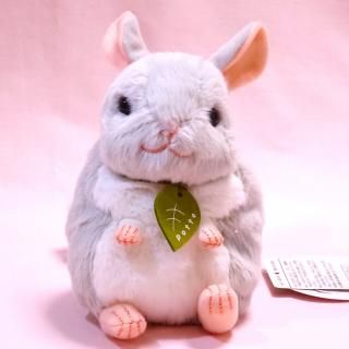 ڥ󡦥 potte  ڤͤߡ