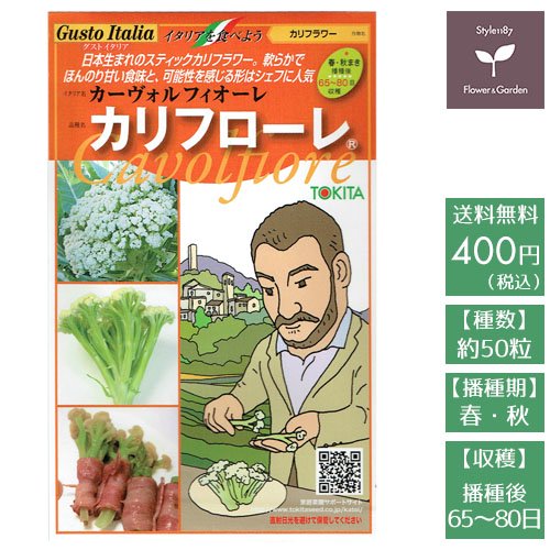 野菜のタネ カリフローレ カリフラワー イタリアの珍しい種を送料無料でお届け お花のギフト 花苗 寄せ植え 観葉植物の専門店 Style1187