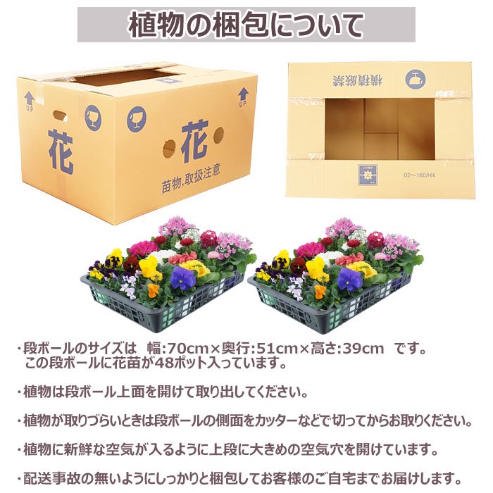 花苗 セット 送料無料 秋 のお花おまかせ48ポット ガーデニングに最適です♪沖縄・離島を除く - お花のギフト・花苗・寄せ植え・観葉植物の専門店 |  Style1187