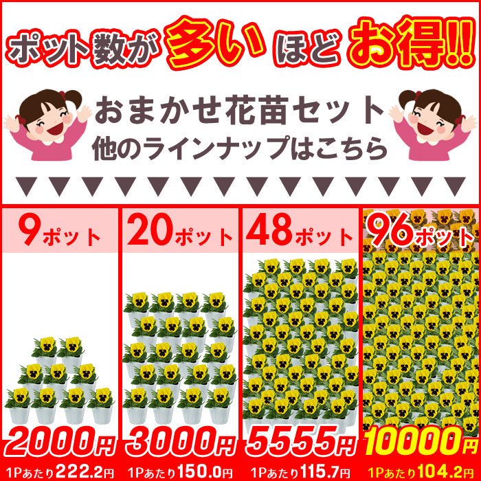 花苗 セット 送料無料 秋 のお花おまかせ48ポット ガーデニングに最適です♪沖縄・離島を除く - お花のギフト・花苗・寄せ植え・観葉植物の専門店 |  Style1187