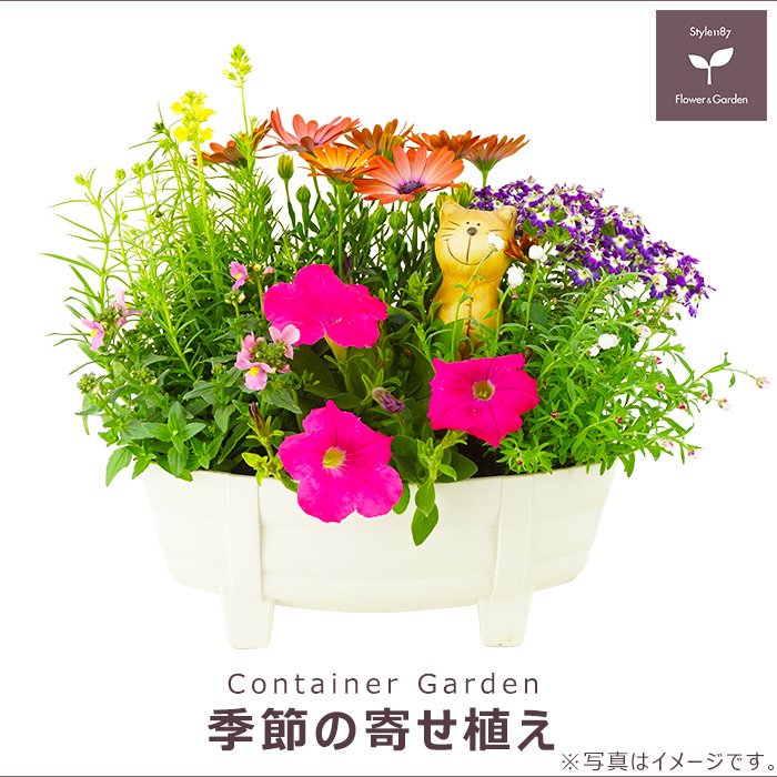 お花のギフト・花苗・寄せ植え・観葉植物の専門店 | Style1187