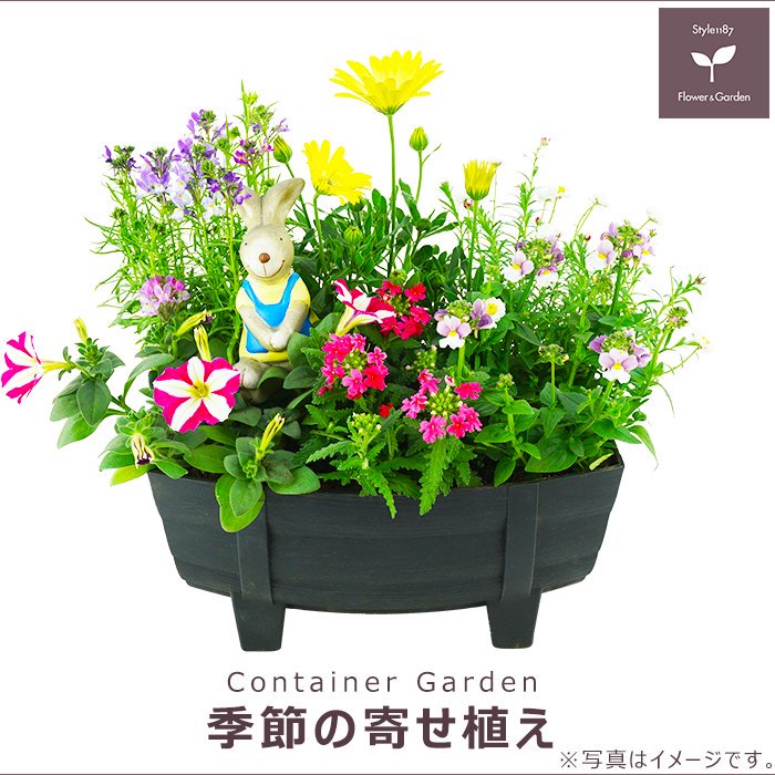 お花のギフト・花苗・寄せ植え・観葉植物の専門店 | Style1187