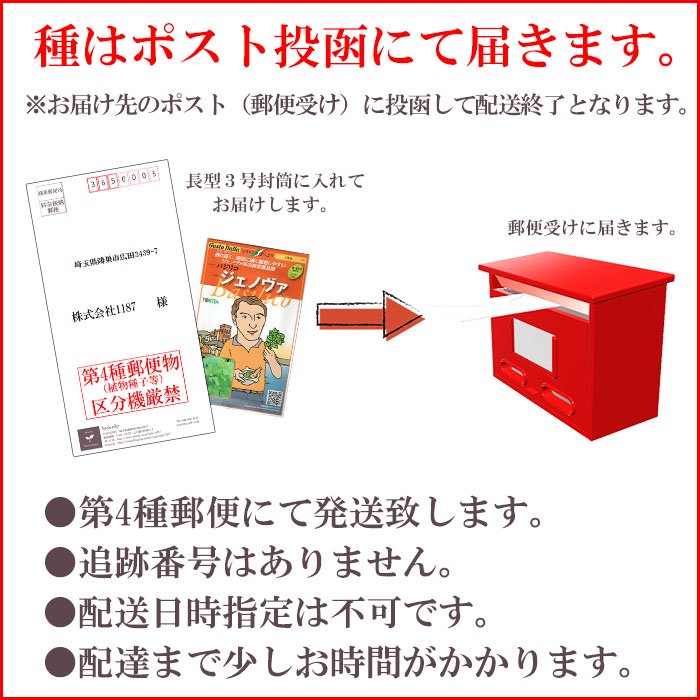 野菜のタネ ダ・ヴィンチ（カリフラワー） イタリアの珍しい種を送料無料でお届け!! - お花のギフト・花苗・寄せ植え・観葉植物の専門店 |  Style1187