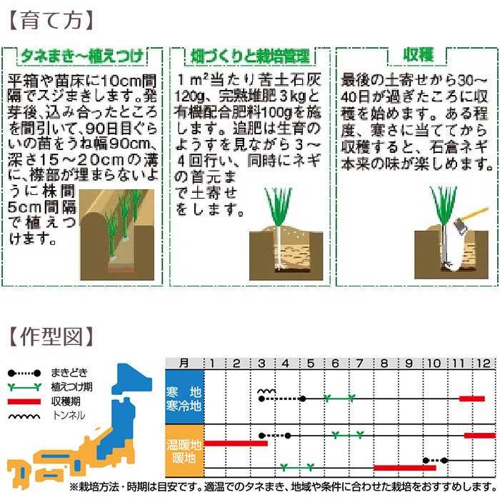 野菜の種 実咲野菜3870 石倉一本太ねぎネギ サカタのタネ - お花のギフト・花苗・寄せ植え・観葉植物の専門店 | Style1187