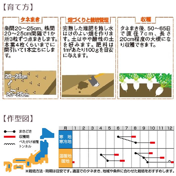 野菜の種 実咲野菜5017 食べきりミニ大根ころっ娘 サカタのタネ - お花のギフト・花苗・寄せ植え・観葉植物の専門店 | Style1187