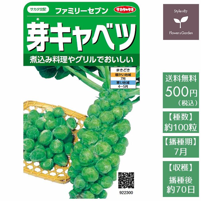 着後レビューで 野菜の種 実咲野菜2300 芽キャベツファミリーセブン tezelizolasyon.com