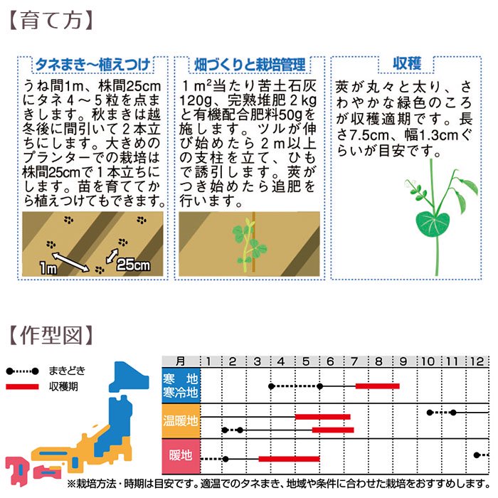 野菜の種 実咲野菜7170 あまうまスナックエンドウ スナック サカタのタネ - お花のギフト・花苗・寄せ植え・観葉植物の専門店 | Style1187